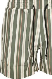Anerkjendt Shark Swimshorts Stripes Green