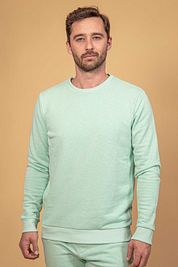 Suitable Sweater Jerry Green