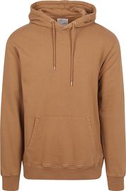 Colorful Standard Organic Hoodie Brown