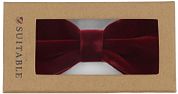 Suitable Bow Tie Velvet Bordeaux
