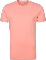 colourful standard t shirt sale