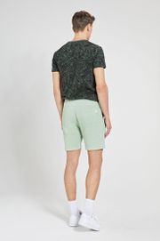 Shiwi Sweat Shorts Light Green 5100210318-772 order online | Suitable