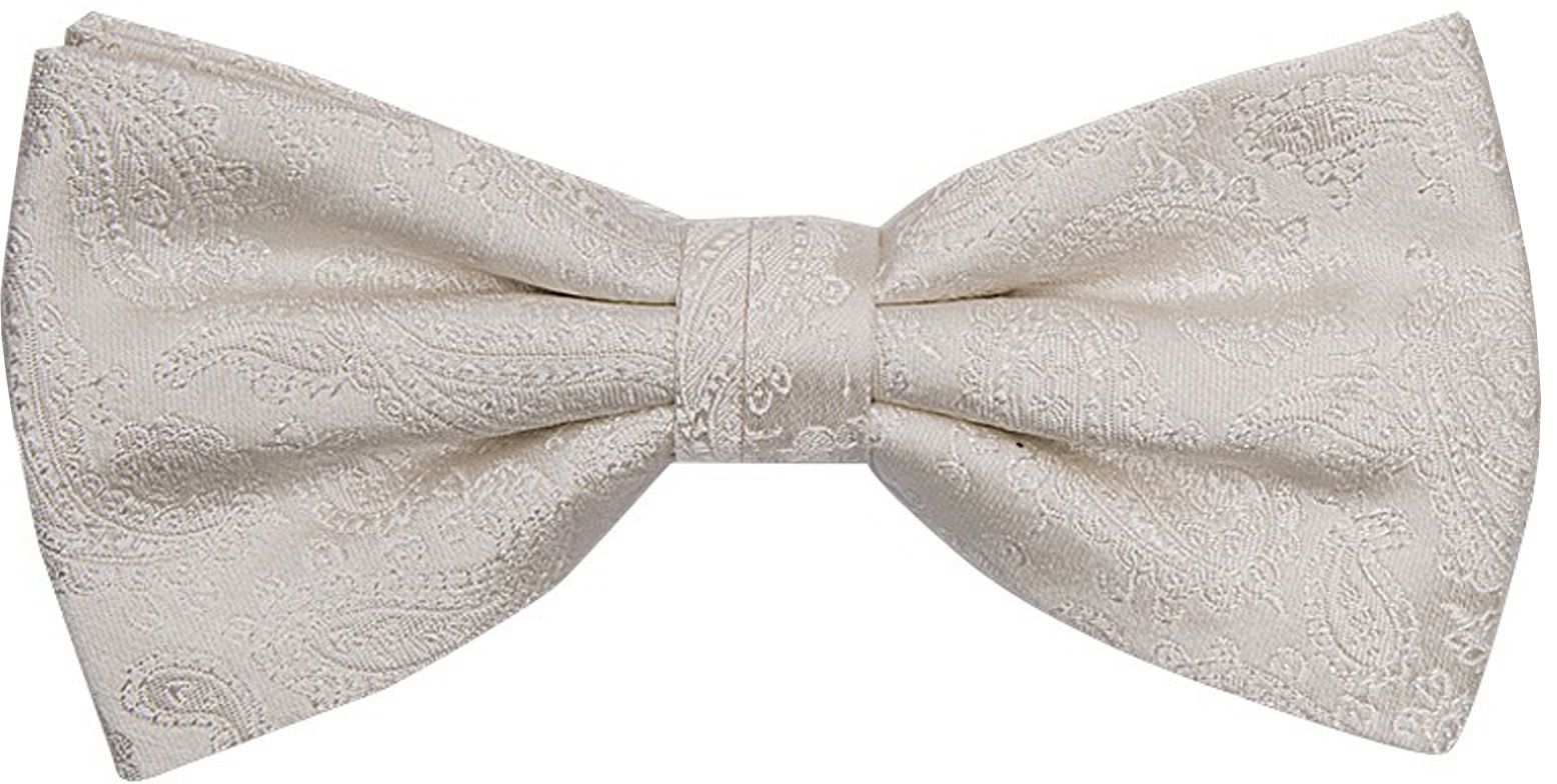 Profuomo Bow Tie Paisley PP2V00001A