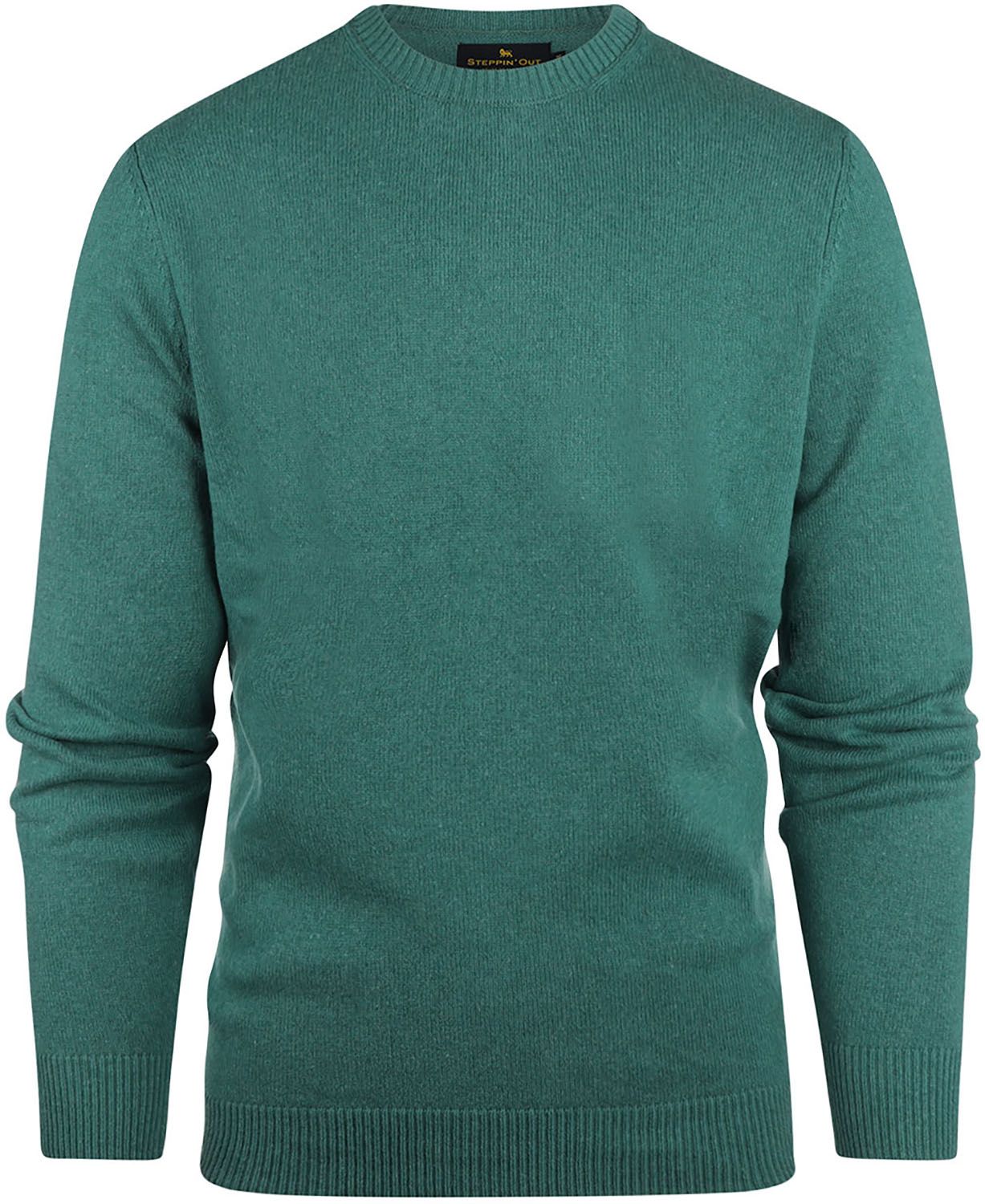 Steppin' Out Trui Medium Groen SM1202.0002-5000 kopen | Suitable