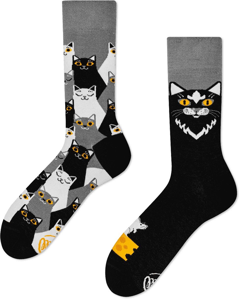 Many Mornings Socks Black Cat R149-Black Cat order online | Suitable