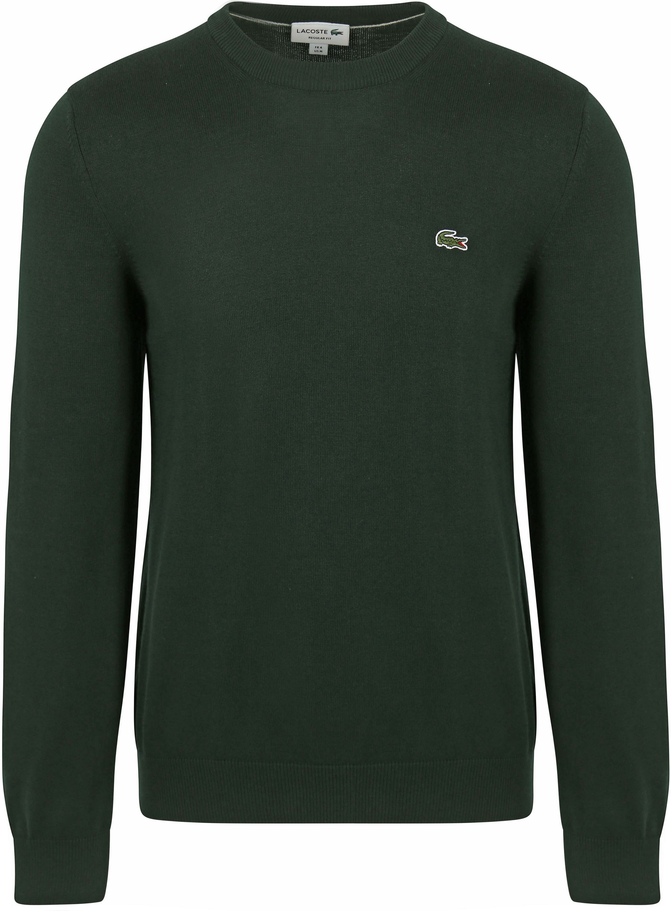 Lacoste Pullover Dark Green AH0128-YZP order online | Suitable