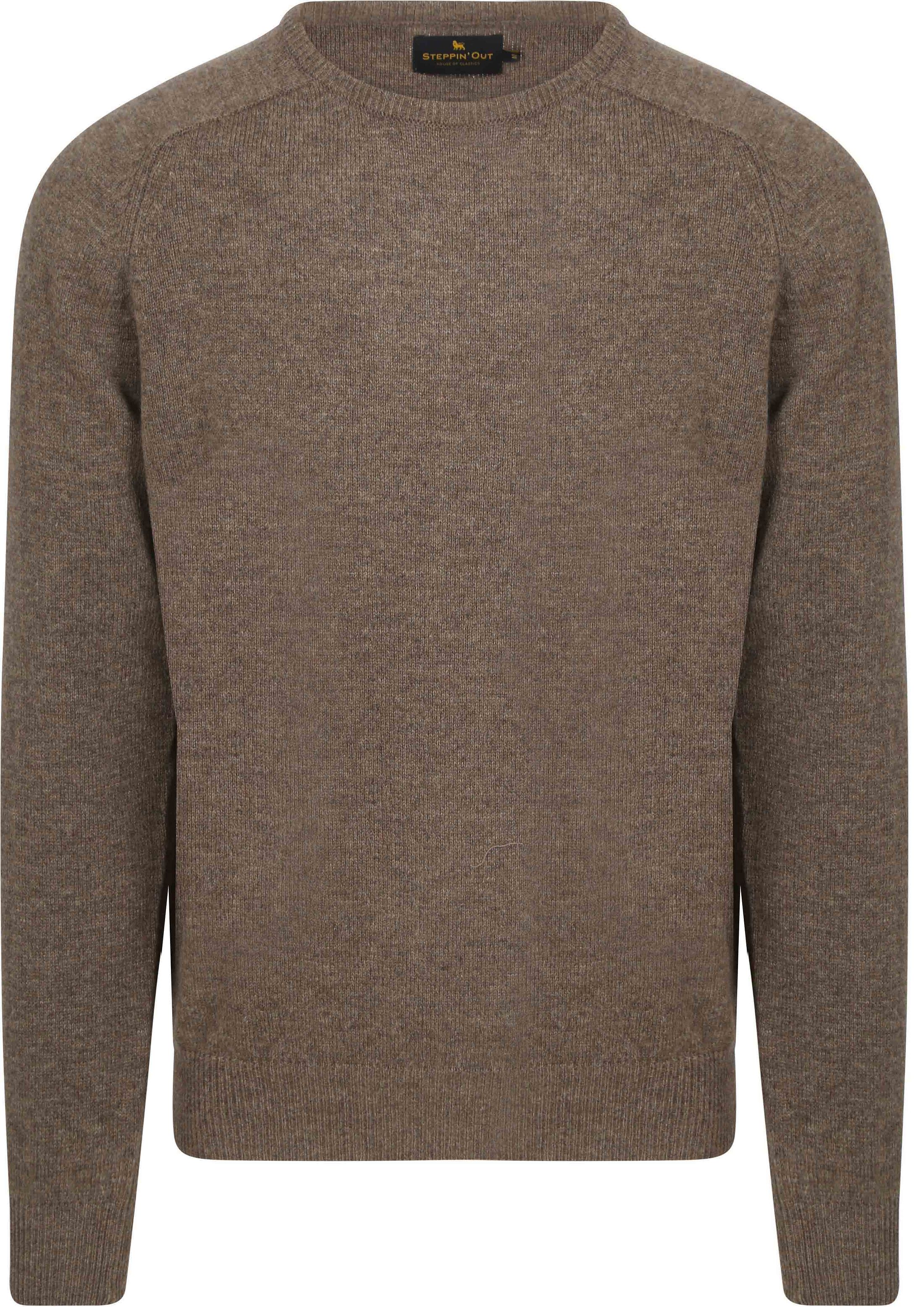 Steppin' Out Pullover Lambswool Brown SM1202.0004-3005 order online | Suitable