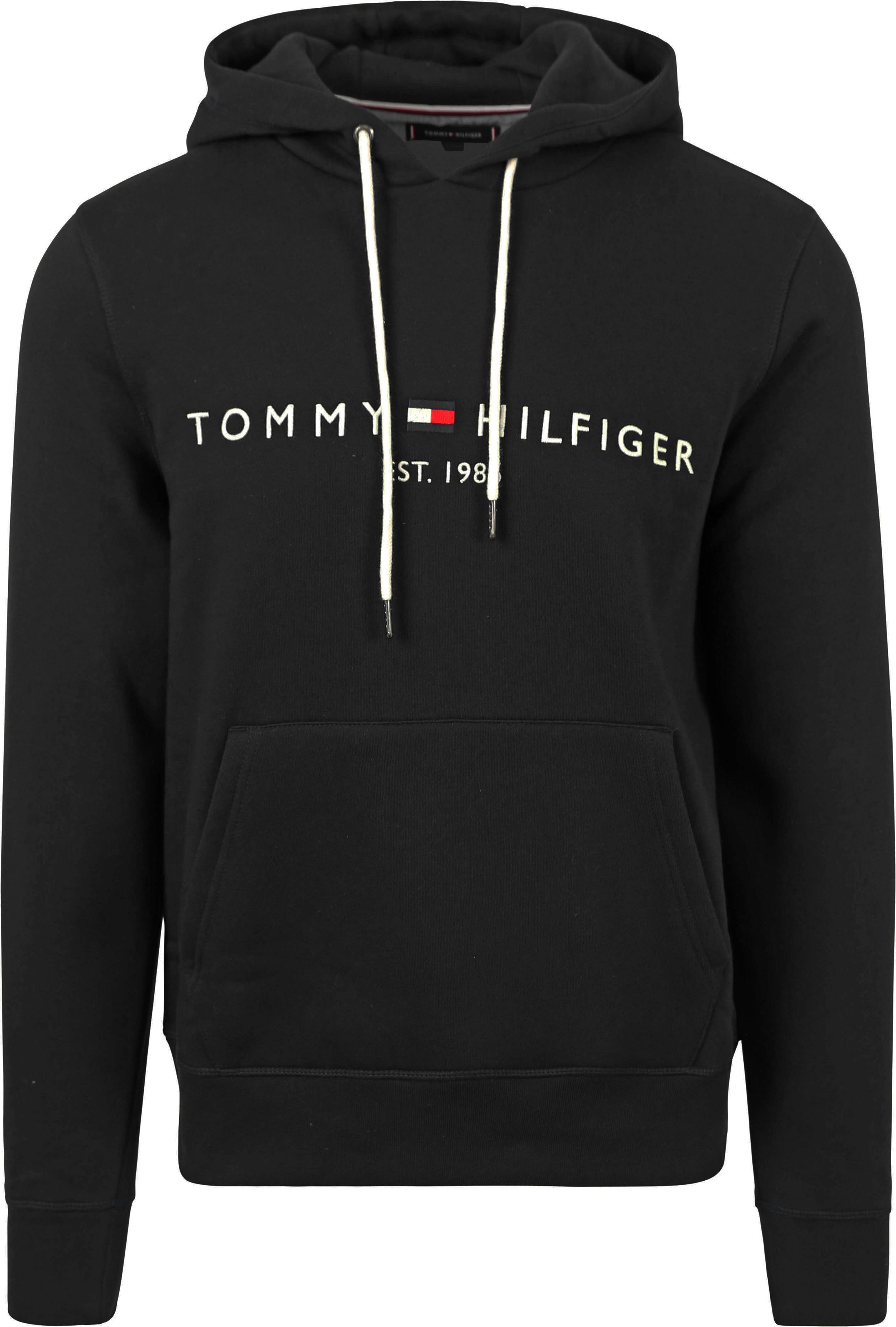Tommy hilfiger basic hoodie hotsell