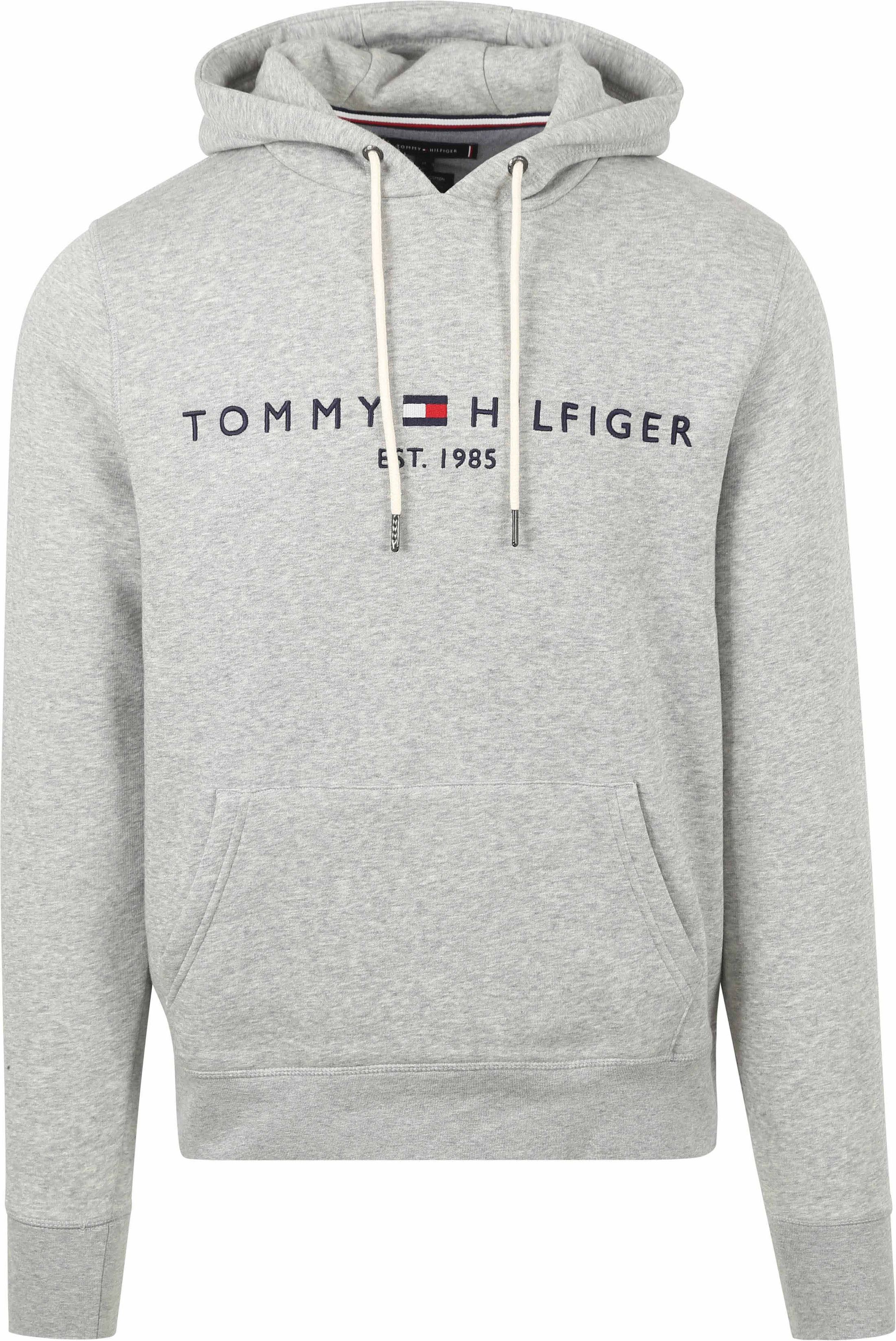 Tommy Hilfiger Hoodie Core Grau MW0MW10752-501 kaufen | Suitable