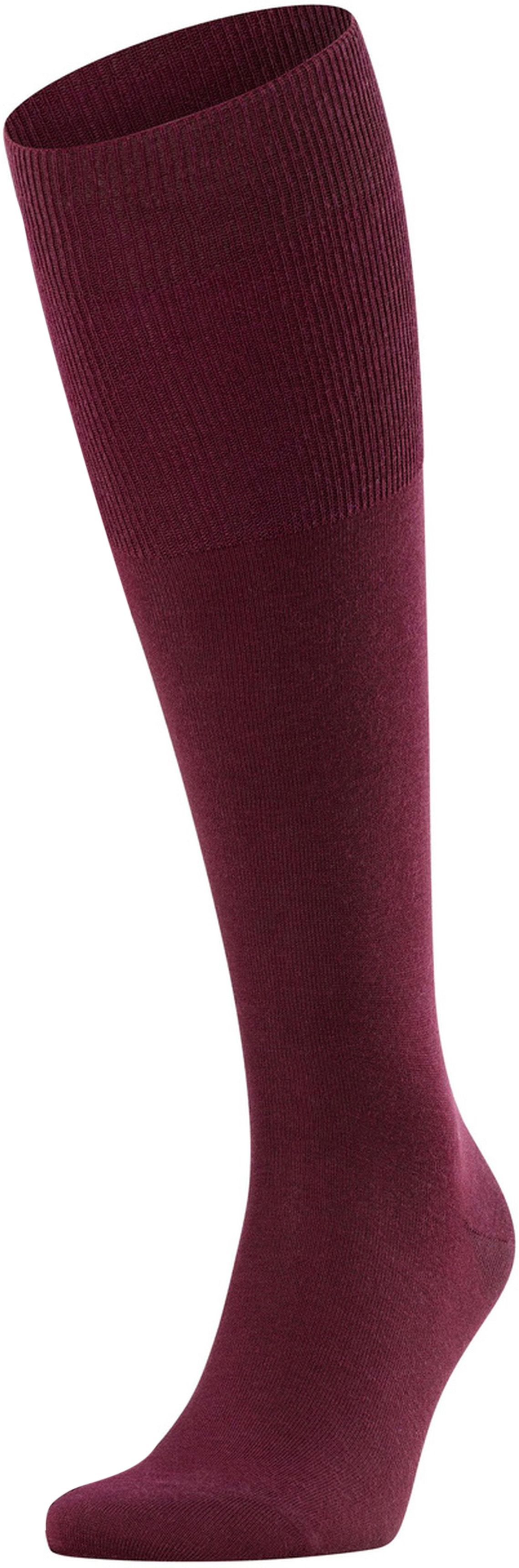 Falke Airport Kniekous Barolo 8596 15435-8596