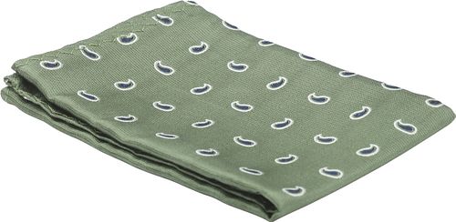 Suitable Silk Necktie Paisley Green Product