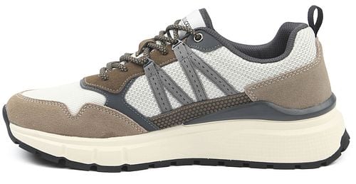 Lyle & Scott Sneakers Lennox Earth Grün Product / Detail