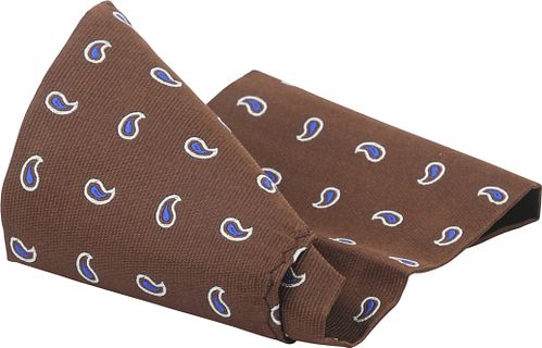 Suitable Silk Necktie Paisley Brown Product