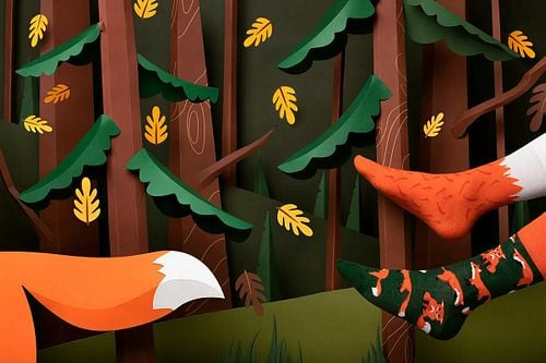 R81-The Red Fox