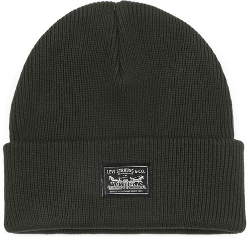 Levi's Muts Patch Groen Product