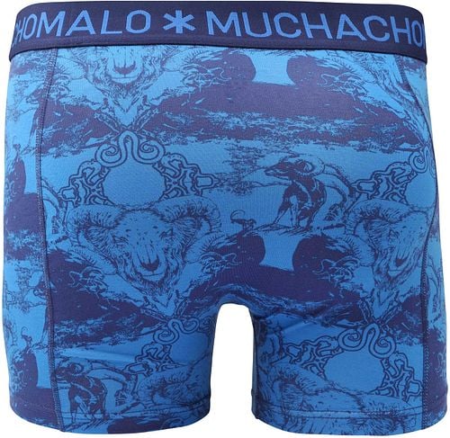 Product / Detail