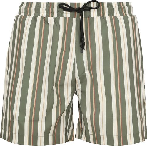 Anerkjendt Shark Swimshorts Stripes Green Product
