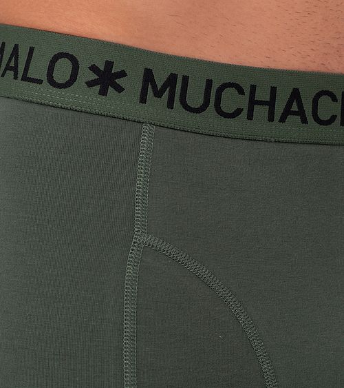 Model / Detail