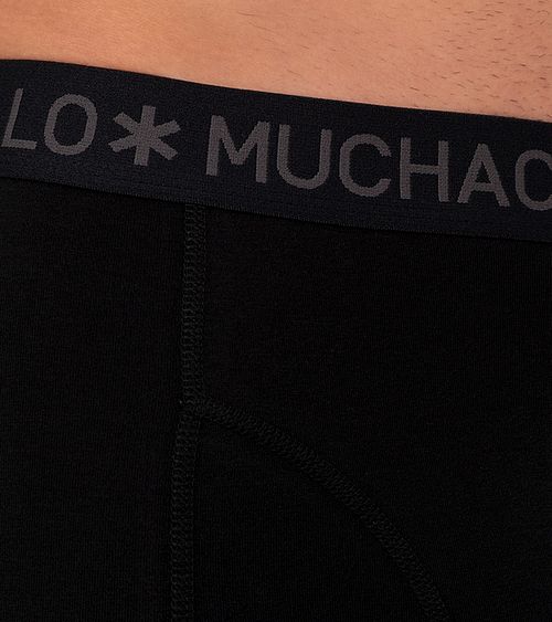 Model / Detail