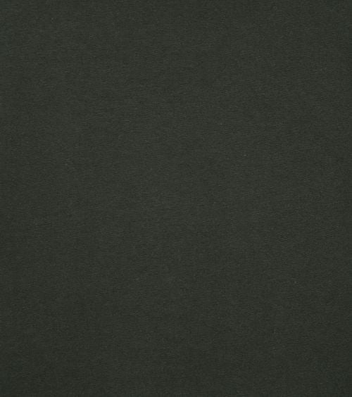 Colorful Standard Organic T-shirt Donkergroen Product / Detail