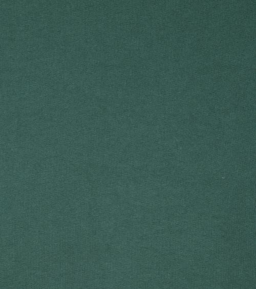 Colorful Standard Sweater Organic Groen Product / Detail