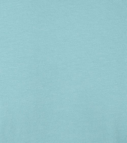 Colorful Standard T-shirt Biologique Coloré Bleu Product / Detail