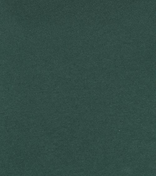 Colorful Standard T Shirt Emerald Grün Product / Detail