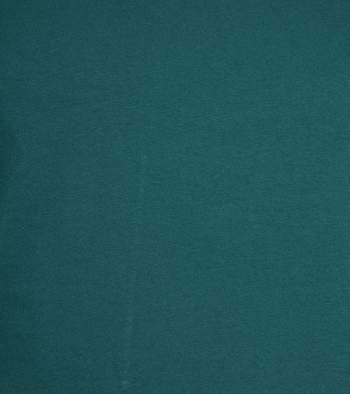 Colorful Standard T-shirt Ocean Groen Product / Detail