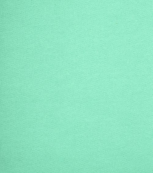 CS1005 Faded Mint