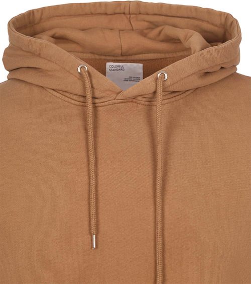 CS1006 Sahara Camel
