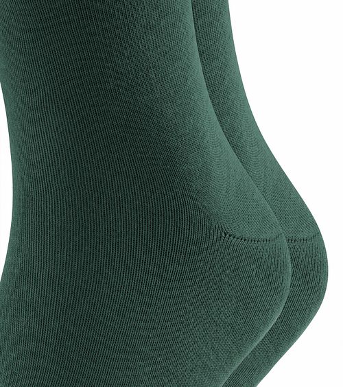 Product / Detail