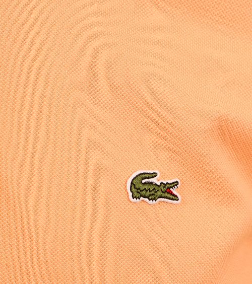 Product / Detail
