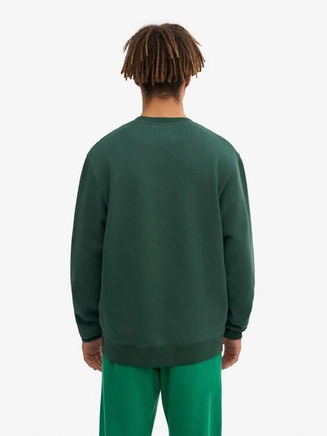Colorful Standard Sweater Organic Groen Model / Achterkant
