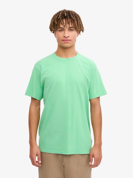 CS1001 Faded Mint