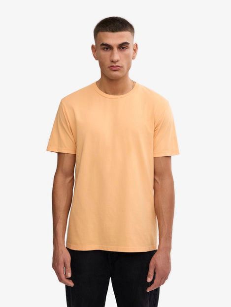 CS1001-Sandstone Orange