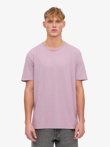 CS1001-Pearly Purple