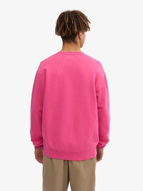 Colorful Standard Pull Rose Foncé Model / Achterkant