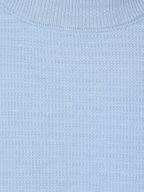 BOSS Pull Anion Blue Product / Detail