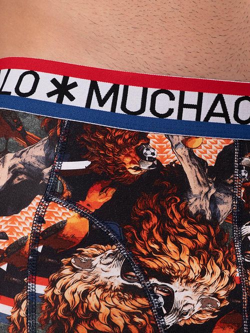 Product / Detail