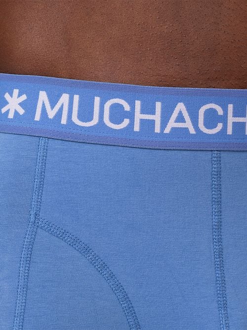Model / Detail