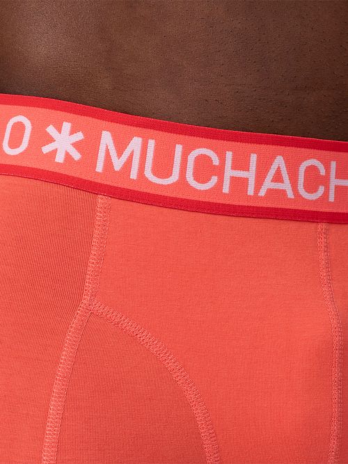 Model / Detail