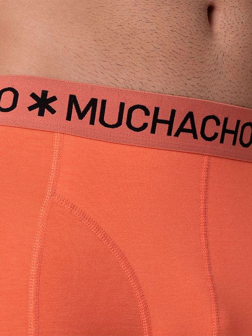 Model / Detail