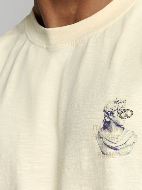 Model / Detail