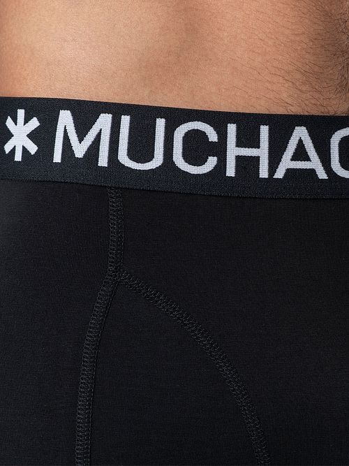 Model / Detail