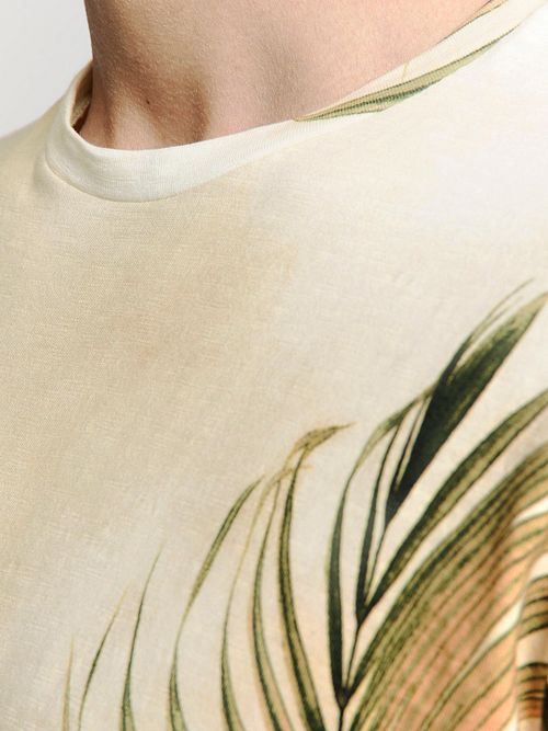 Model / Detail