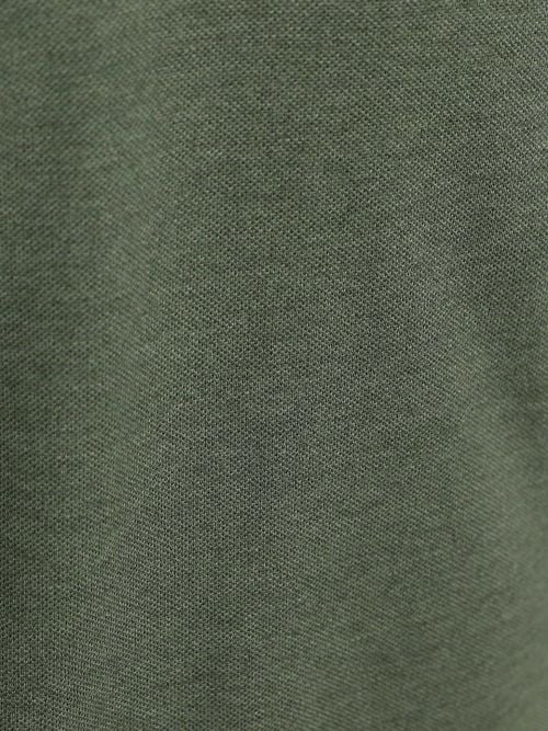 Suitable Mang Poloshirt Groen Product / Detail