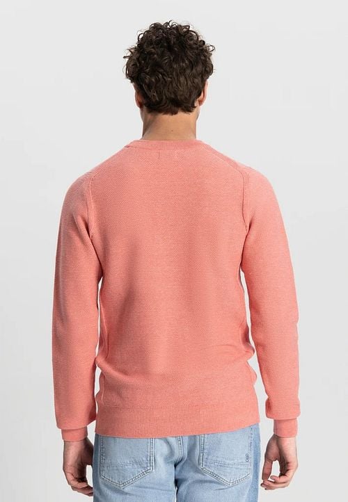 Dstrezzed Pullover Pink Melange Model / Achterkant
