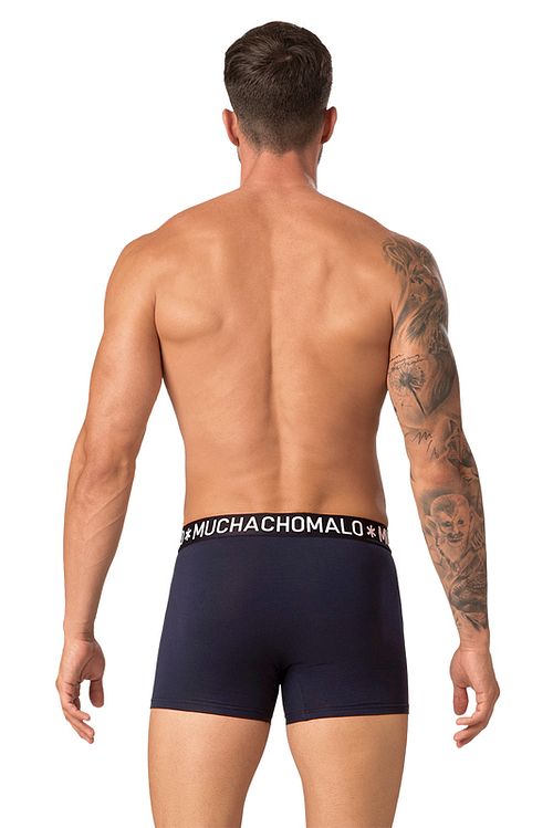 Model / Achterkant