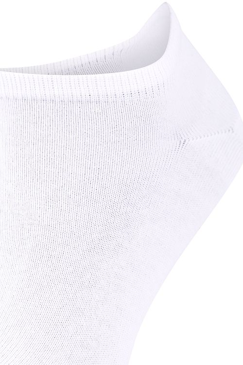 Product / Detail