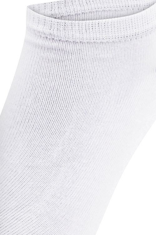 Product / Detail